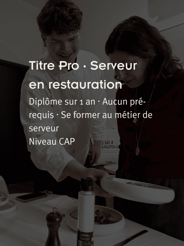Titre Pro · Serveur en restauration