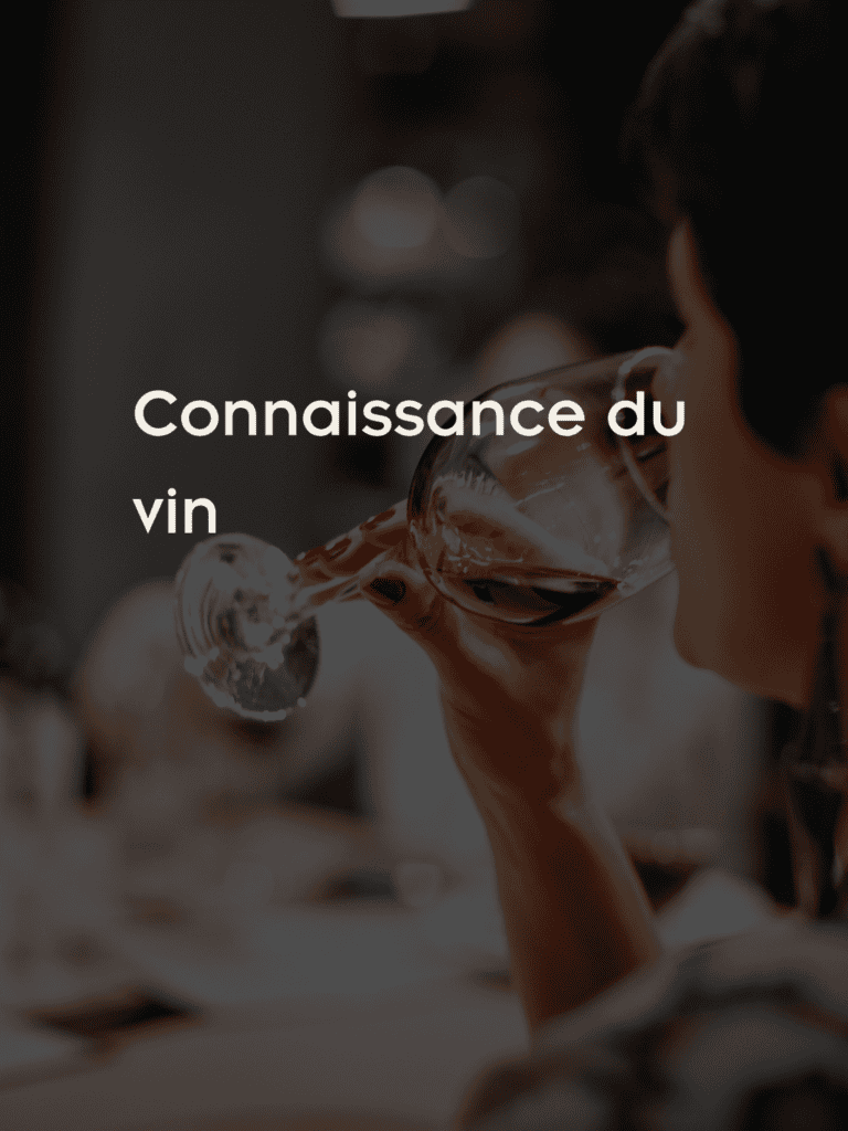 CONNAISSANCE DU VIN