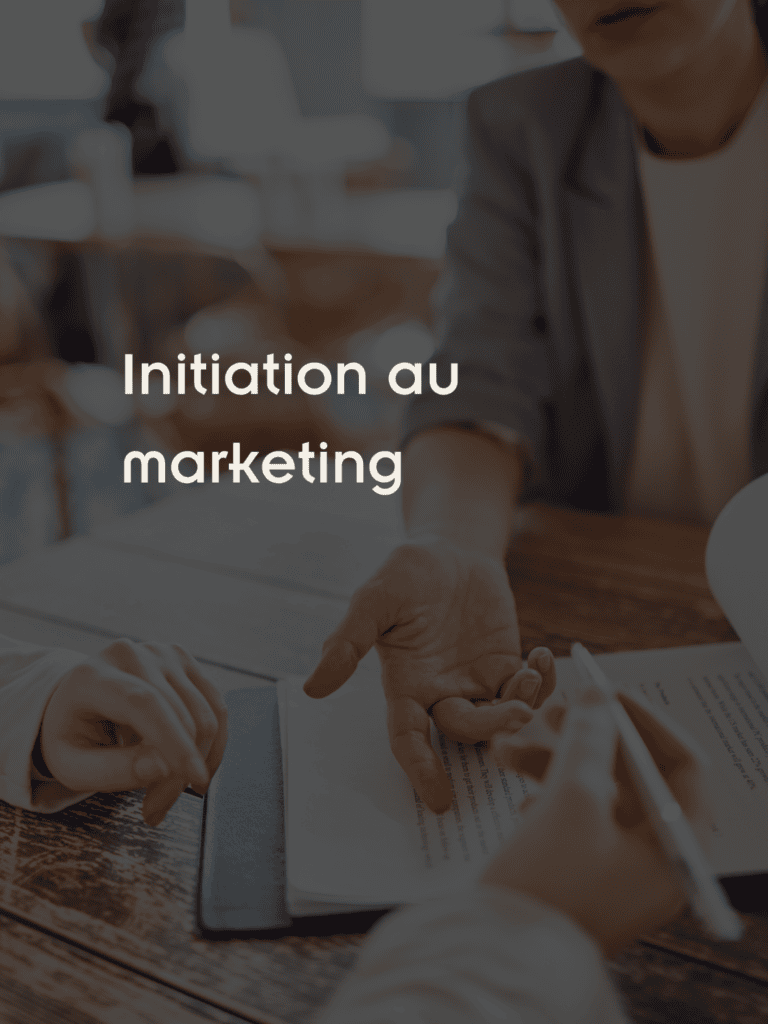 INITIATION AU MARKETING